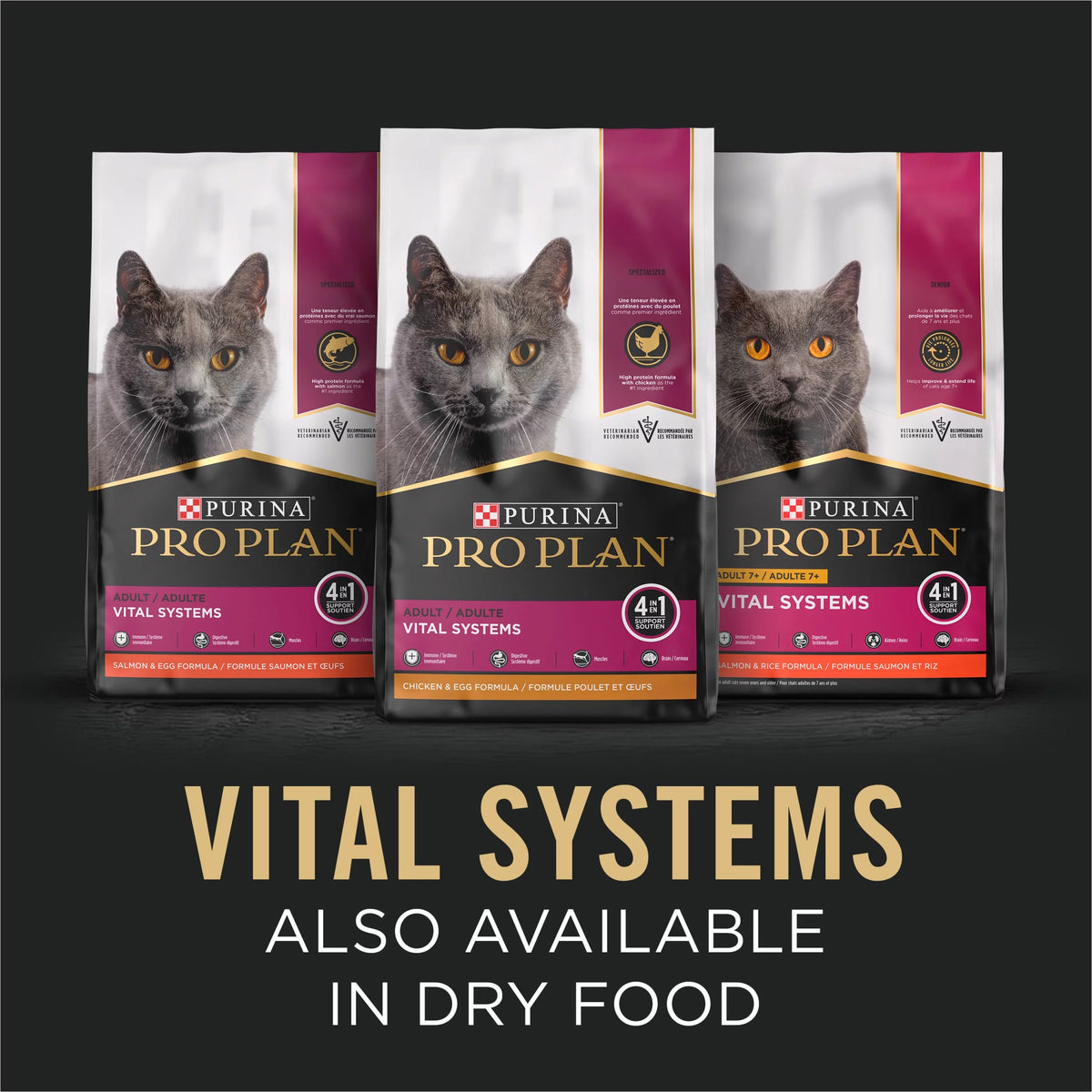 Wet Cat Food Sole Entree in Gravy 3 oz. Can T24366