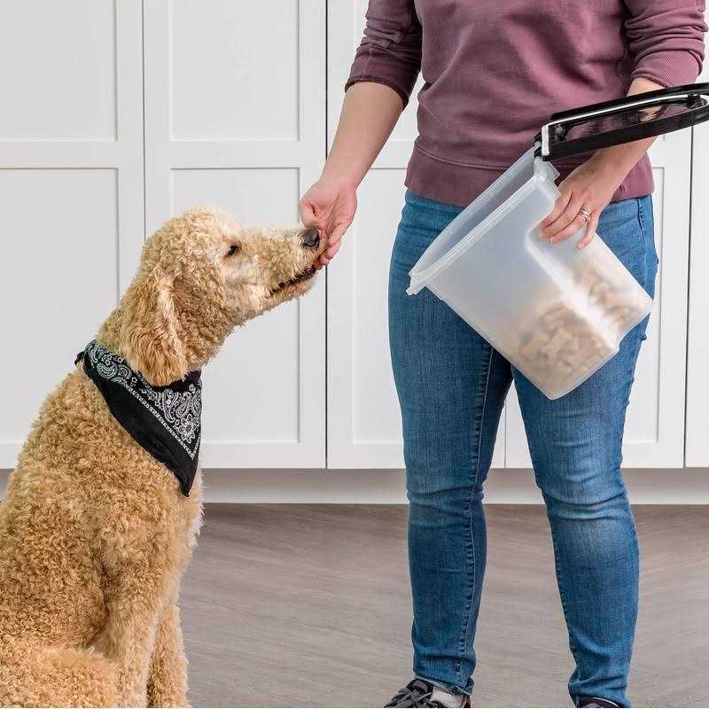 Black Airtight Pet Food Storage Container W9902