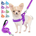 Heavy Duty Adjustable Reflective Dog Harness and Leash F31197