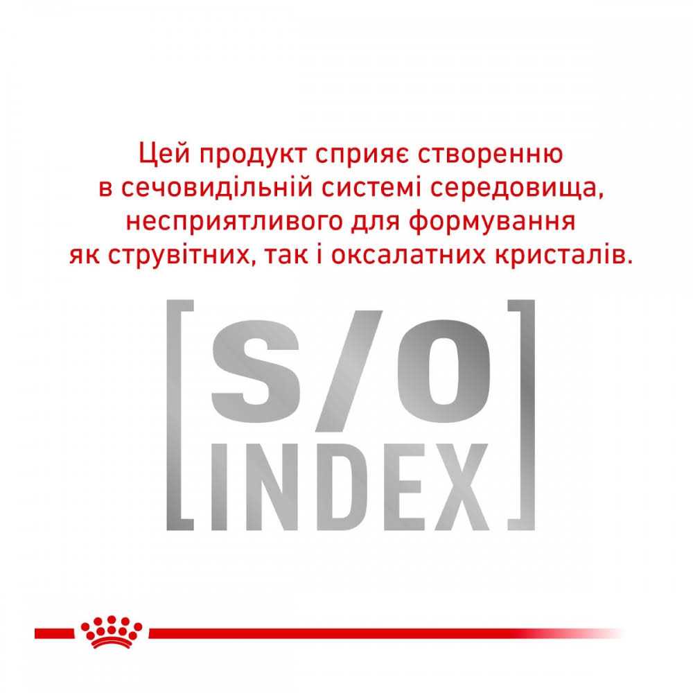 Small Dog Food H66890