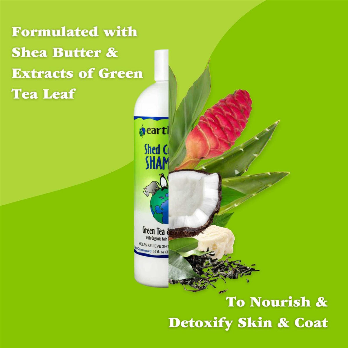 Green Tea & Awapuhi Shed Control Shampoo L4046