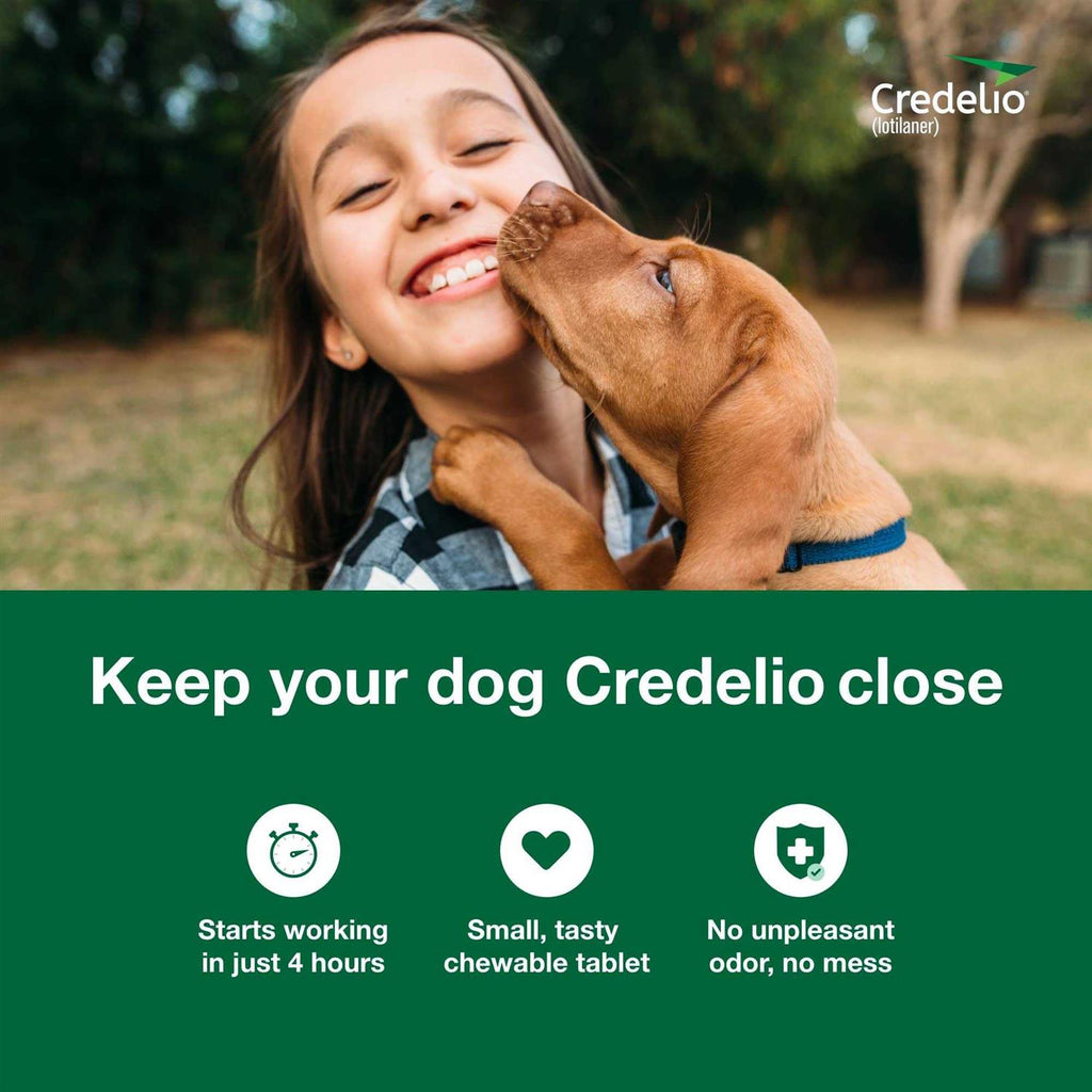 Chewable Tablet for Dogs R8553
