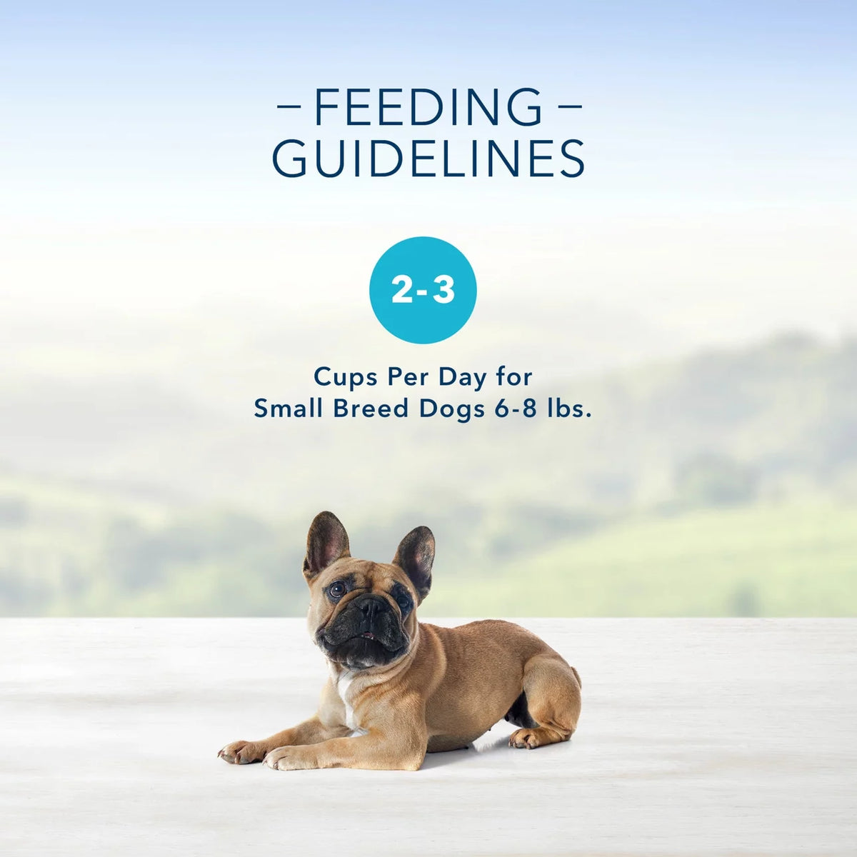 3.5 oz Grain-Free Wet Dog Food V902404