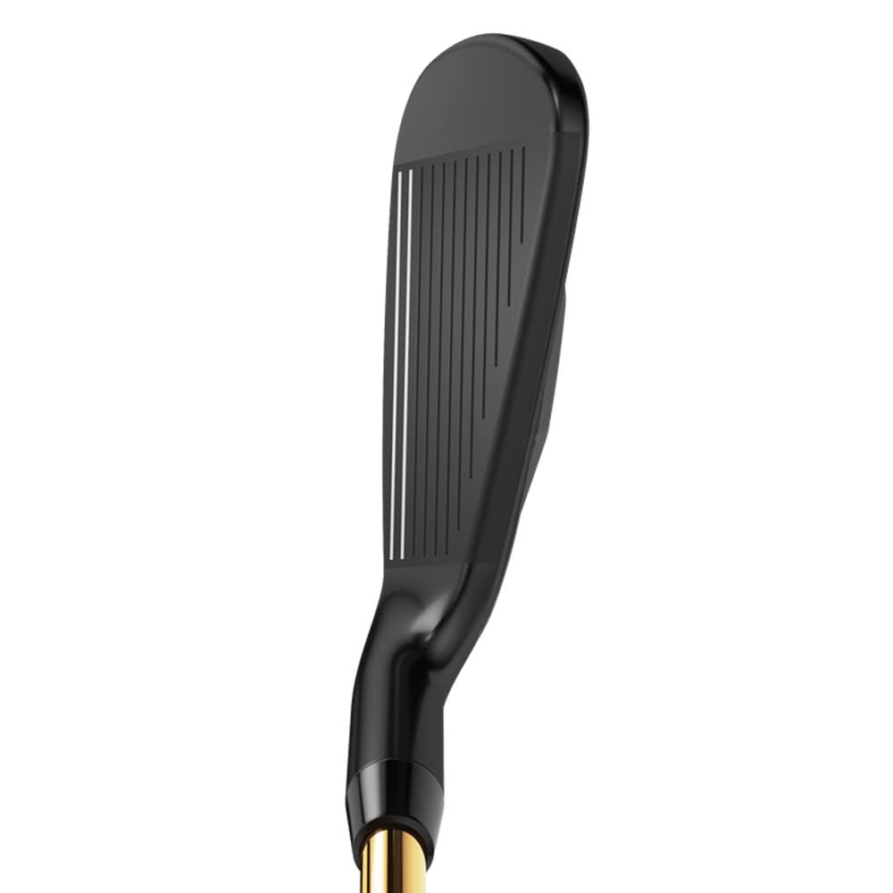 Individual Graphite Iron H83611