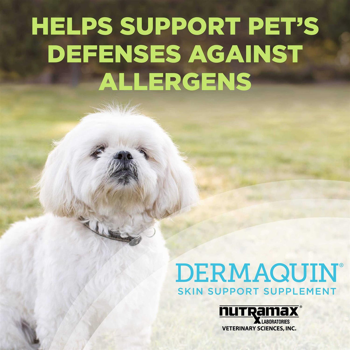 Dermaquin Skin Support Dogs 60 ct N304828