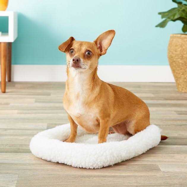 Pet Bed M766