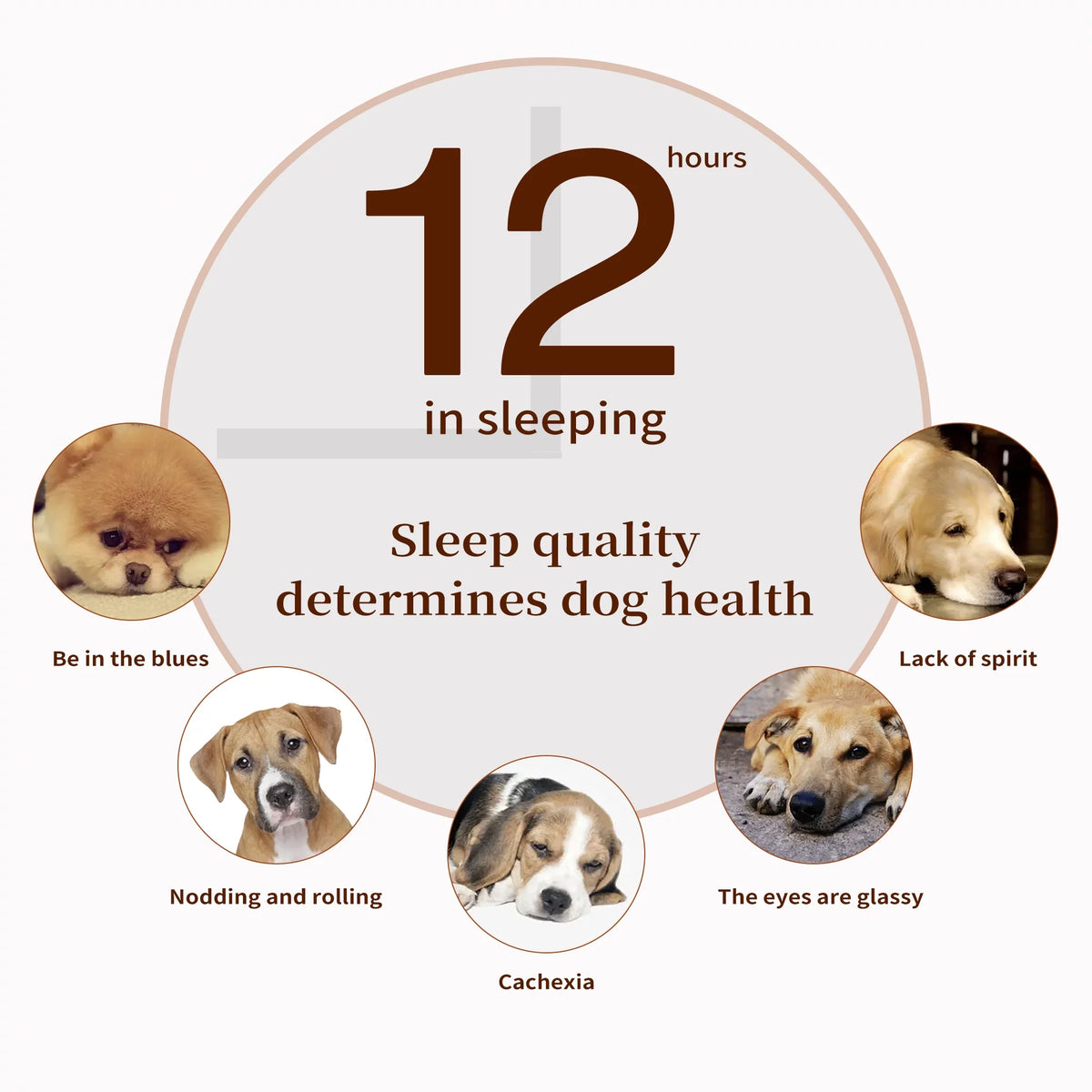 Orthopedic Dog Bed Plush Mattress with Removable Waterproof Cover Q509