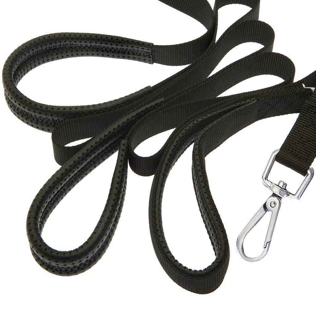 Leash X2493