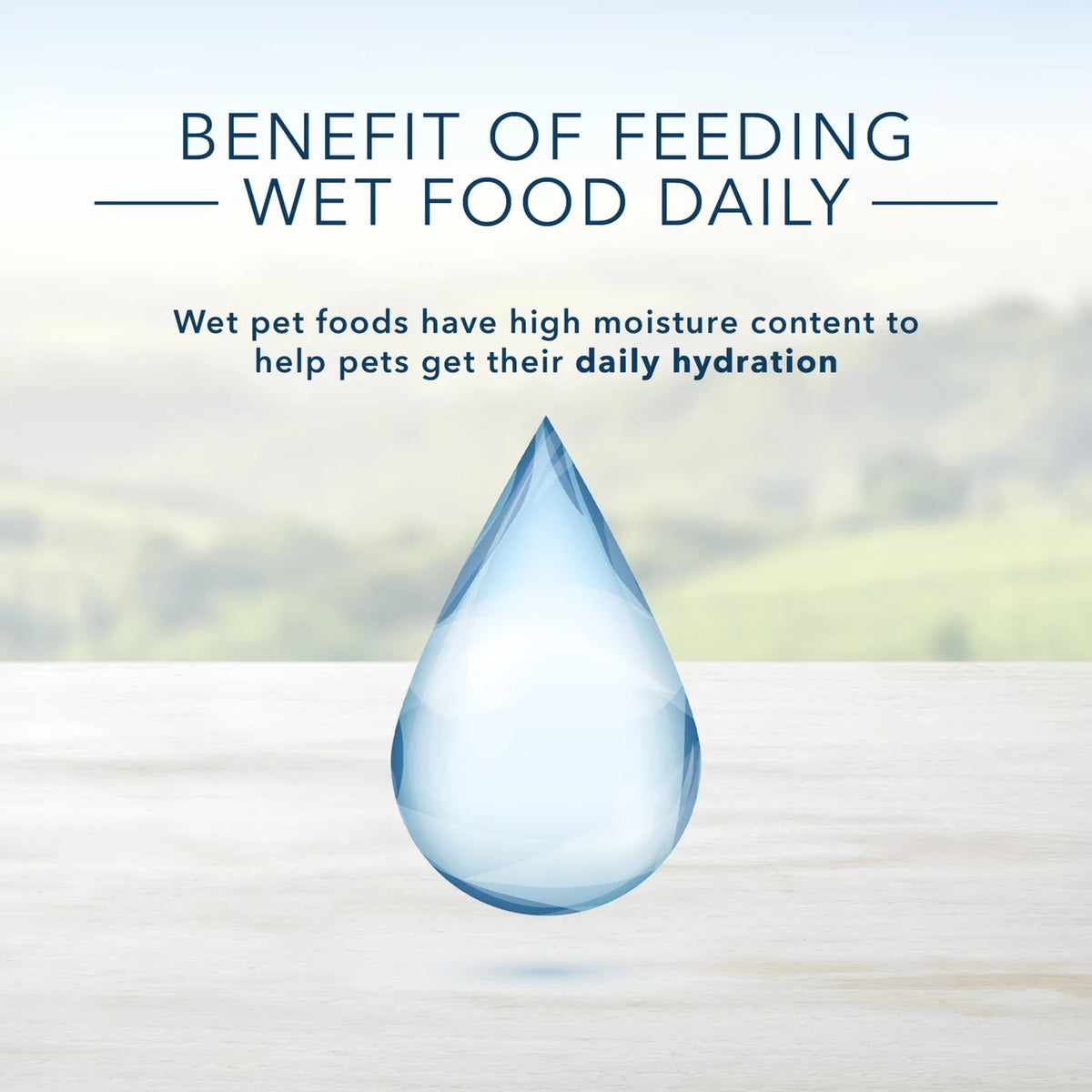 3.5 oz Grain-Free Wet Dog Food V902404