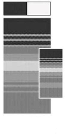 RV Awning Fabric V283