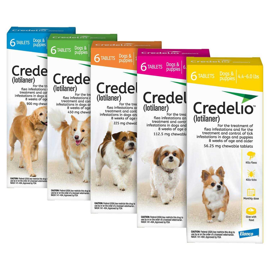 Chewable Tablet for Dogs R8553