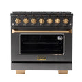 36 5.2 cu. ft. Propane Gas Range in Titanium Stainless Steel P599