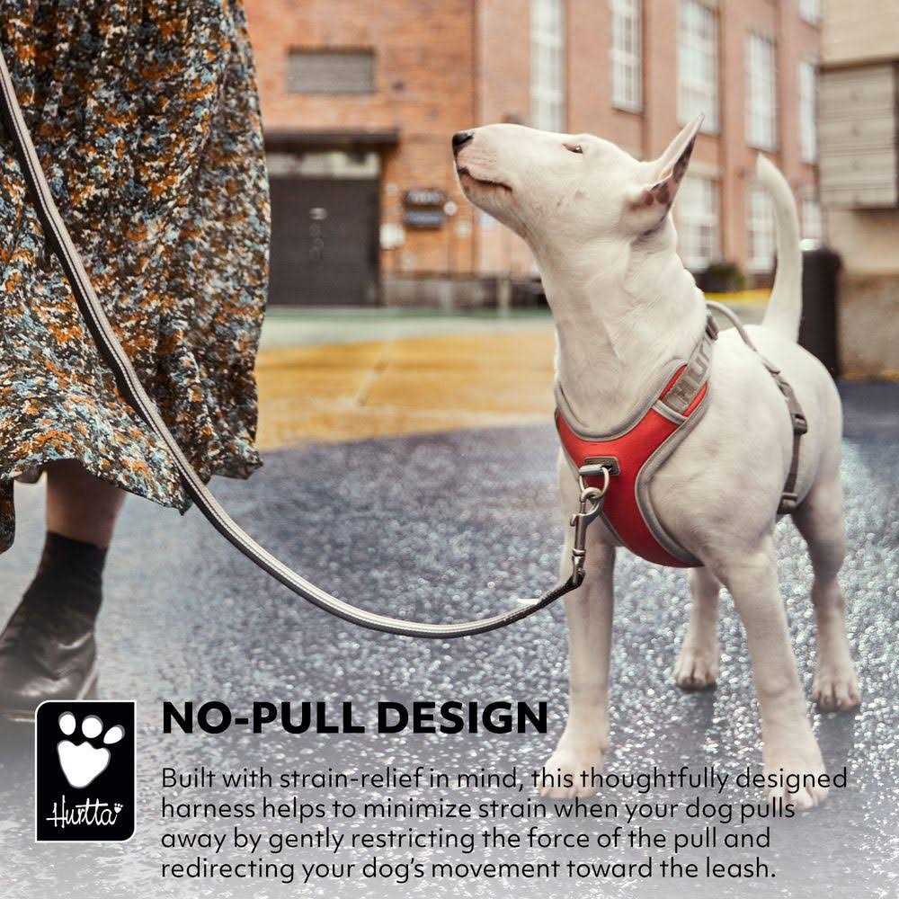 No-Pull Dog Harness Z201