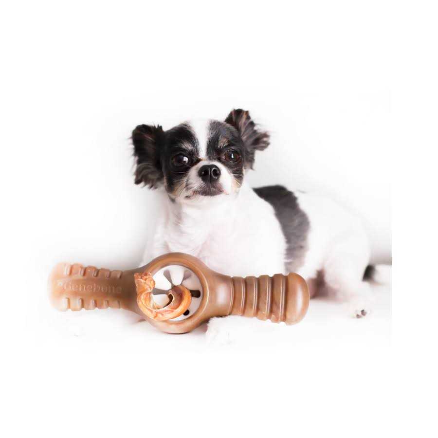 Bacon Dog Chew Toy N164288