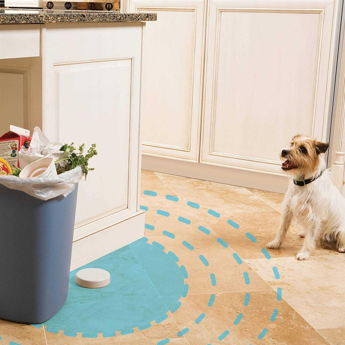 Indoor Pet Barrier H657