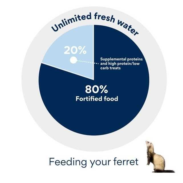 Premium Ferret Diet A731