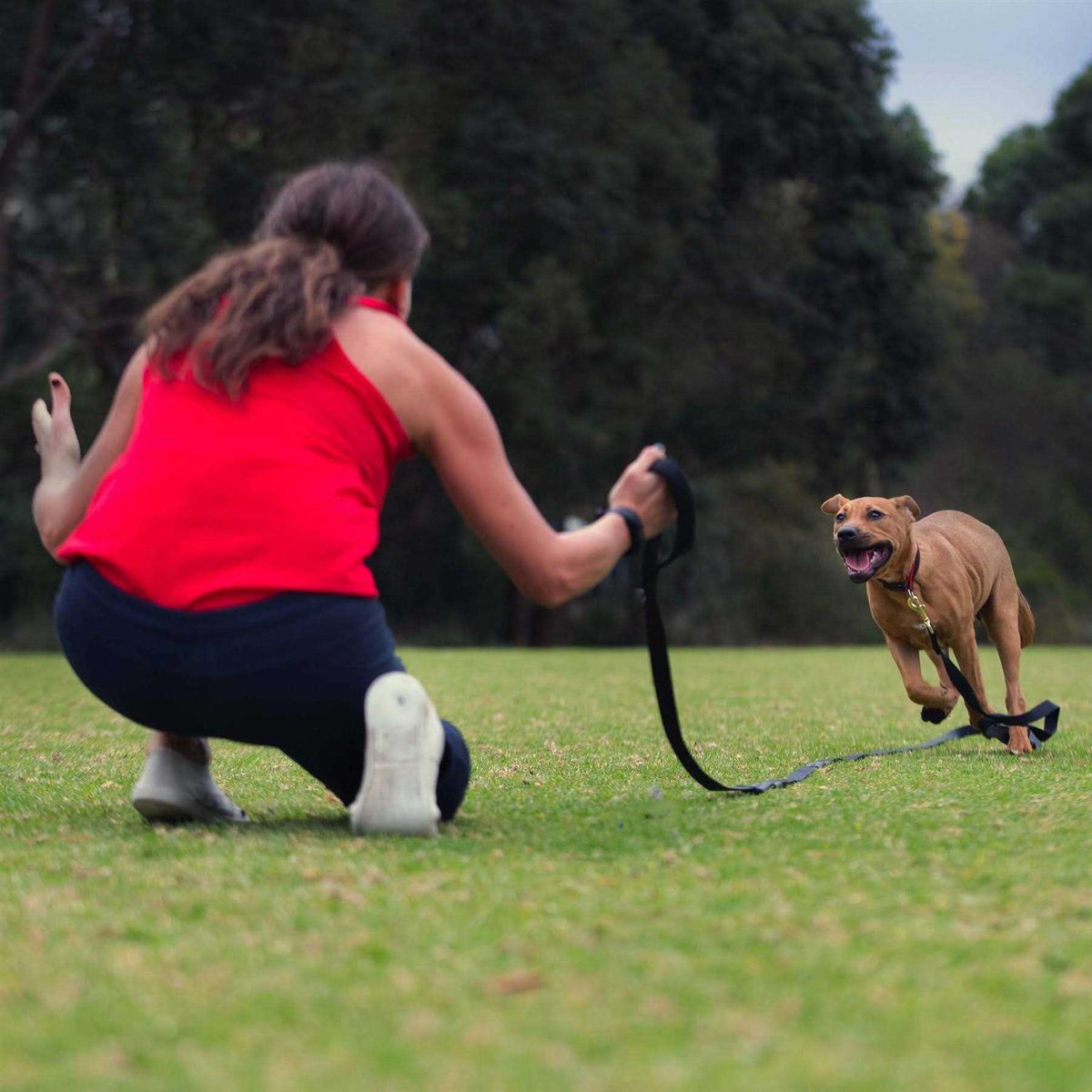 Leash X2493