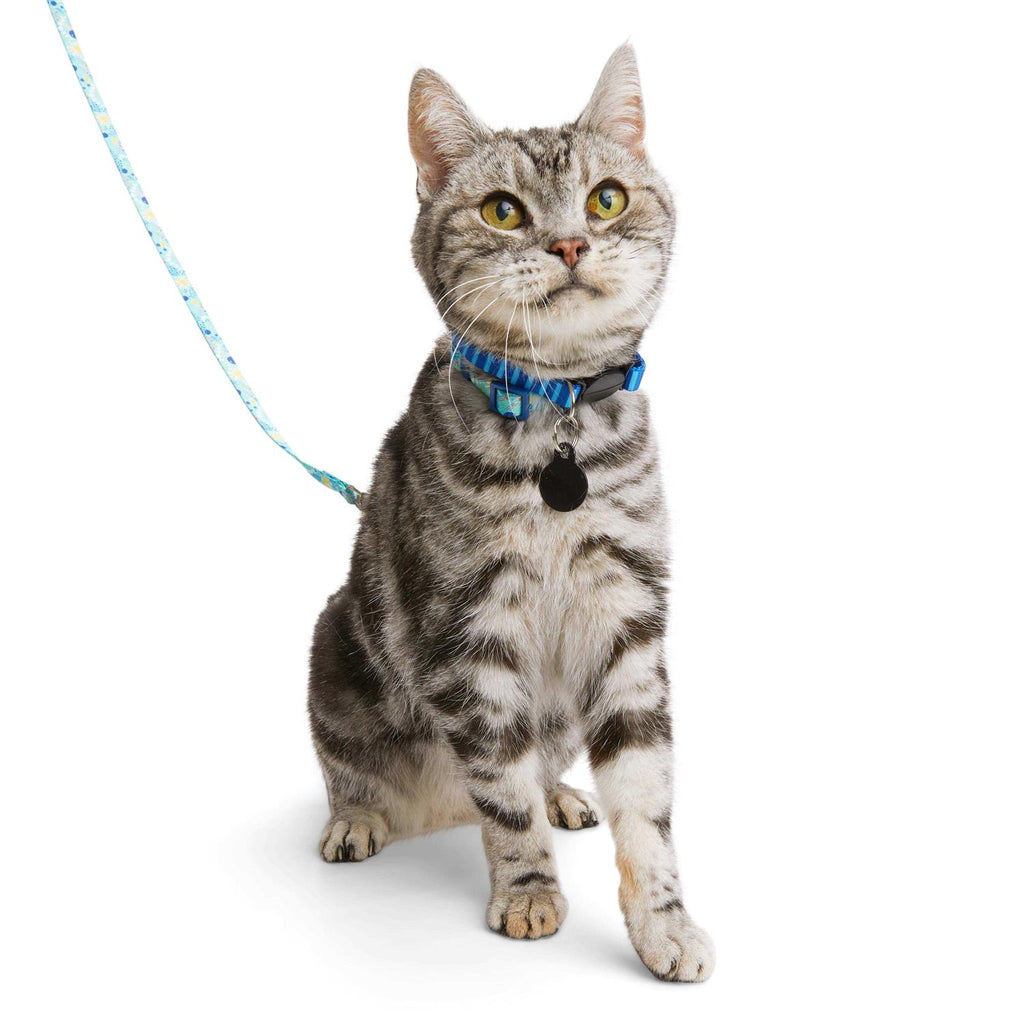 Kitten Harness & Lead L165