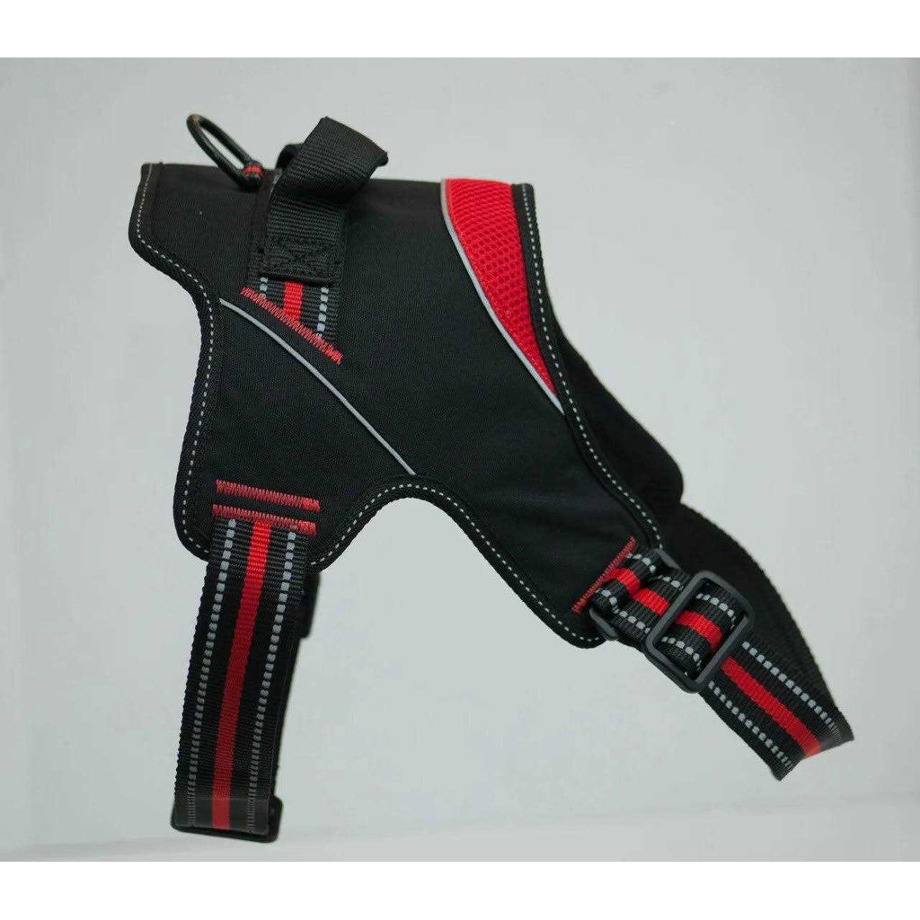 Hart Harness J91063