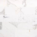 Calacatta Gold 6x12 Polished Marble Tile V926922