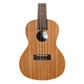 Concert Ukulele Pack P940