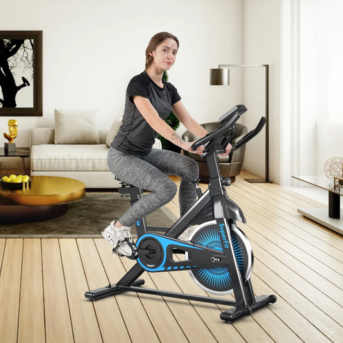 Indoor Cycling Stationary Bike Belt Drive Adjustable Resistance N650