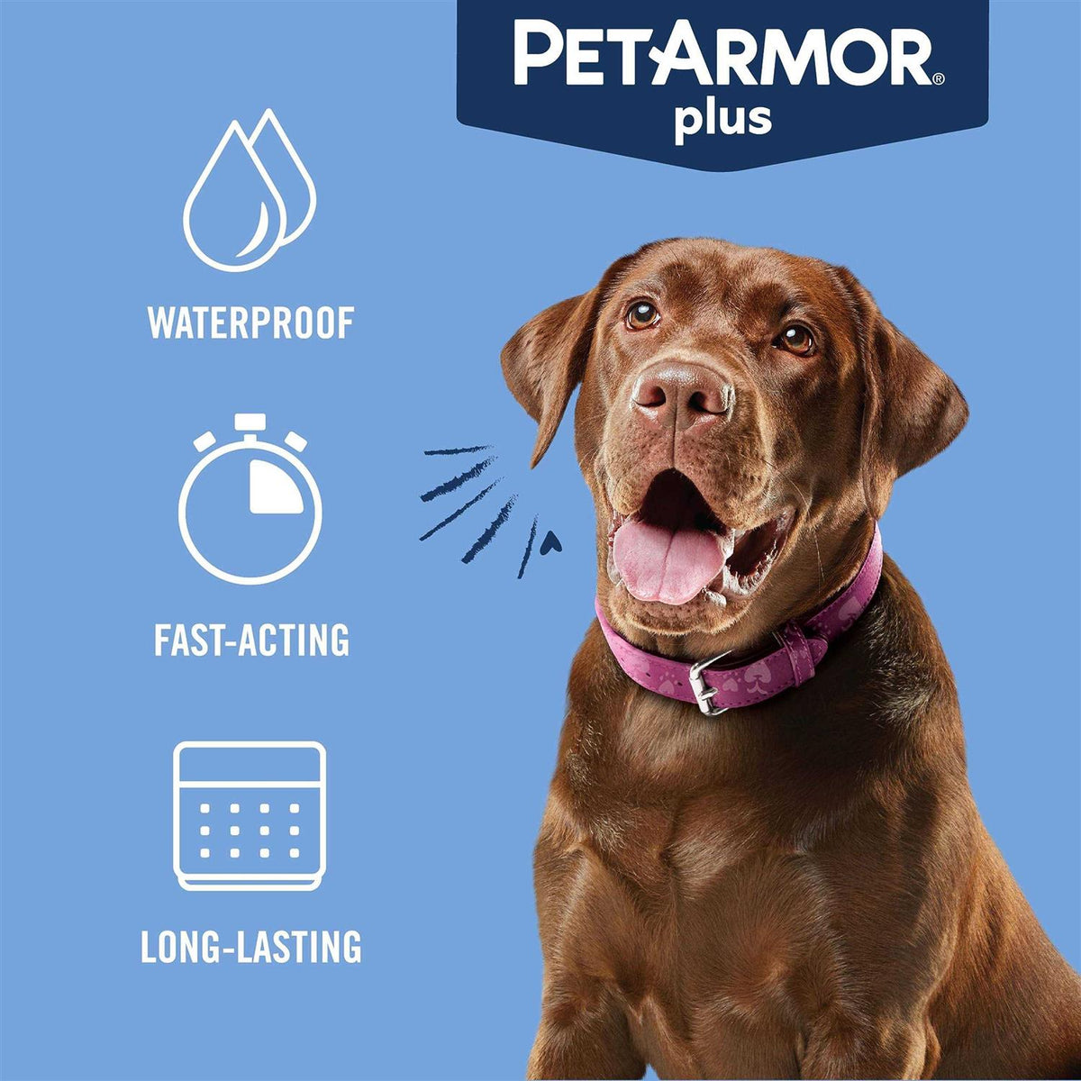 Flea and Tick Prevention for Large Dogs Q46173