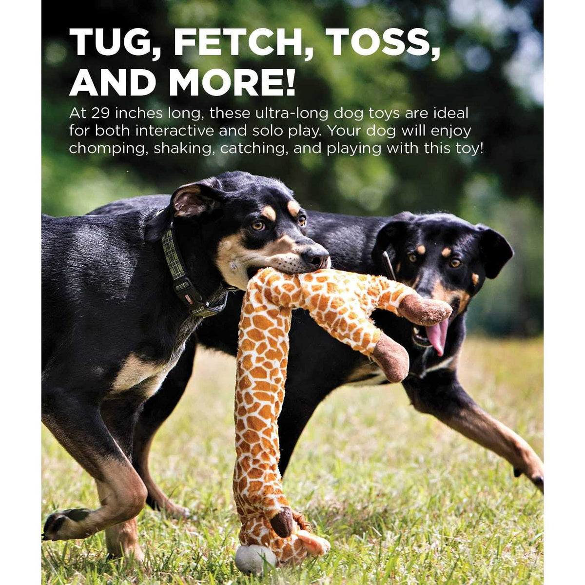 Dog Toy V32218