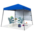 10ft x 10ft Pop Up Canopy Tent with Sidewall, Blue Q73014