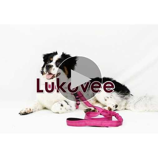 Heavy Duty Adjustable Reflective Dog Harness and Leash F31197