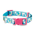 Rainbows and Unicorns Dog Collar L3824