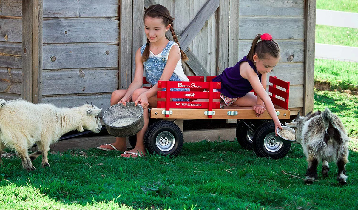 Red Wagon with 10" No-Flat Tires J5587
