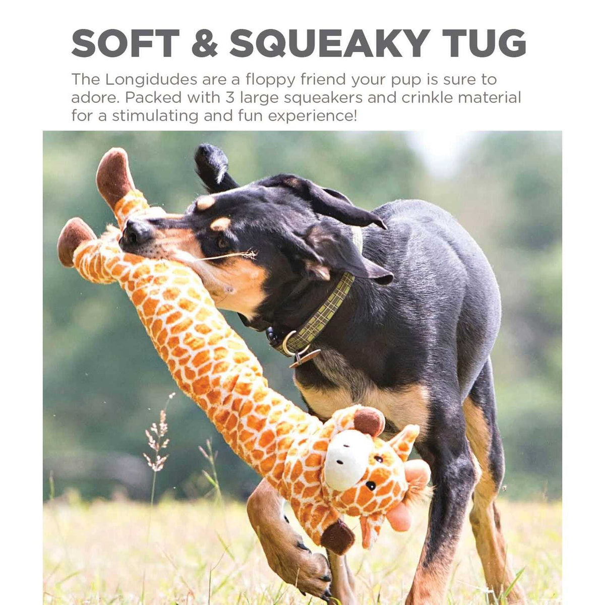 Dog Toy V32218