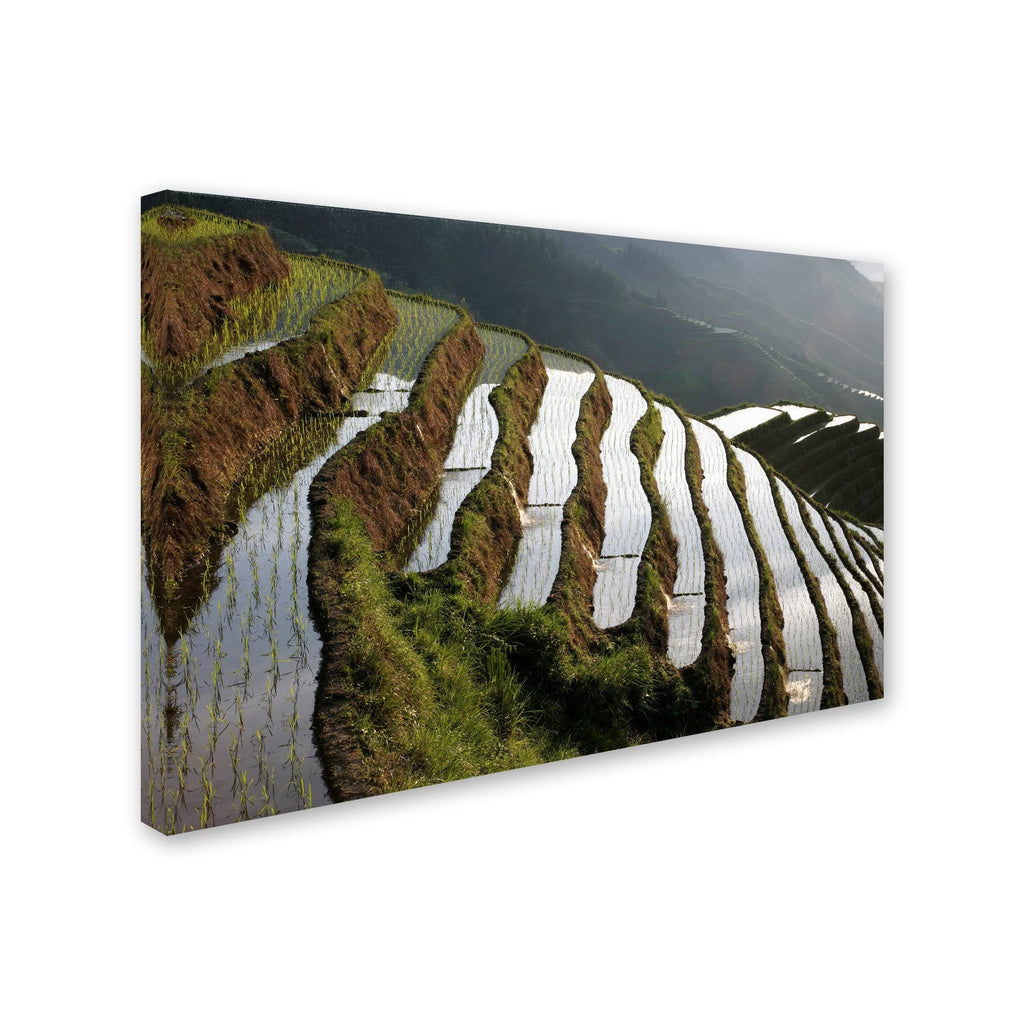 Farmland Canvas Art D34835