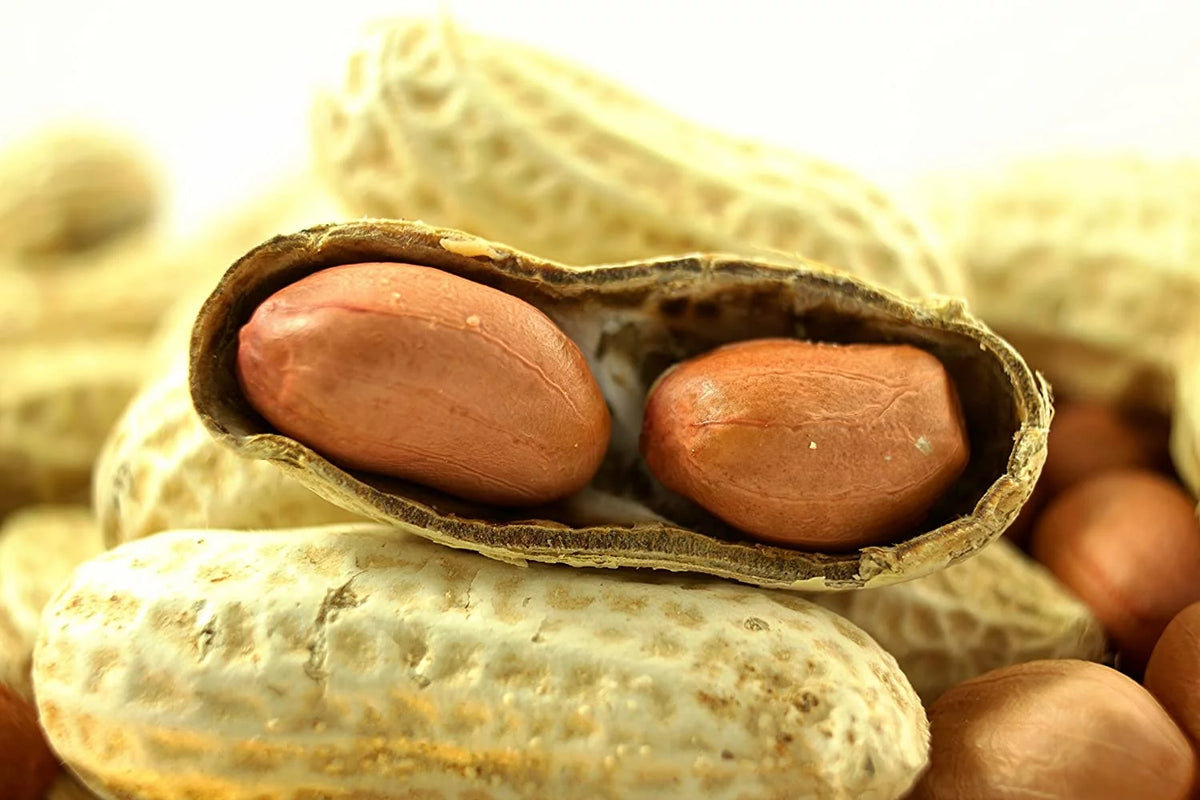 Extra Large Peanuts 50 LBS I3480