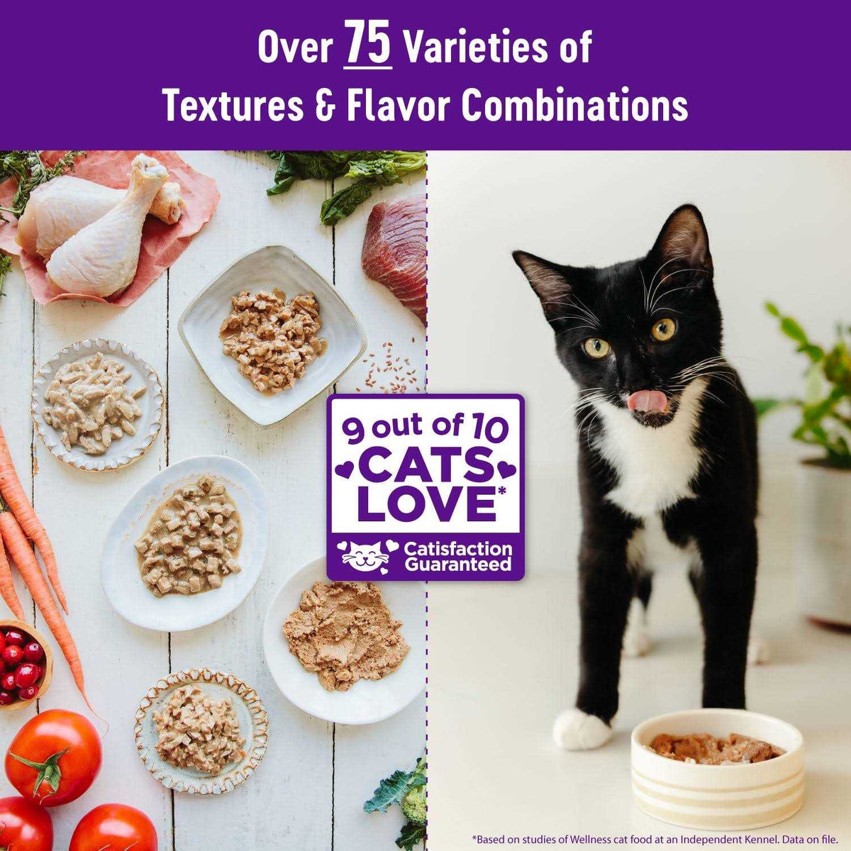 Grain Free Wet Cat Food A481714