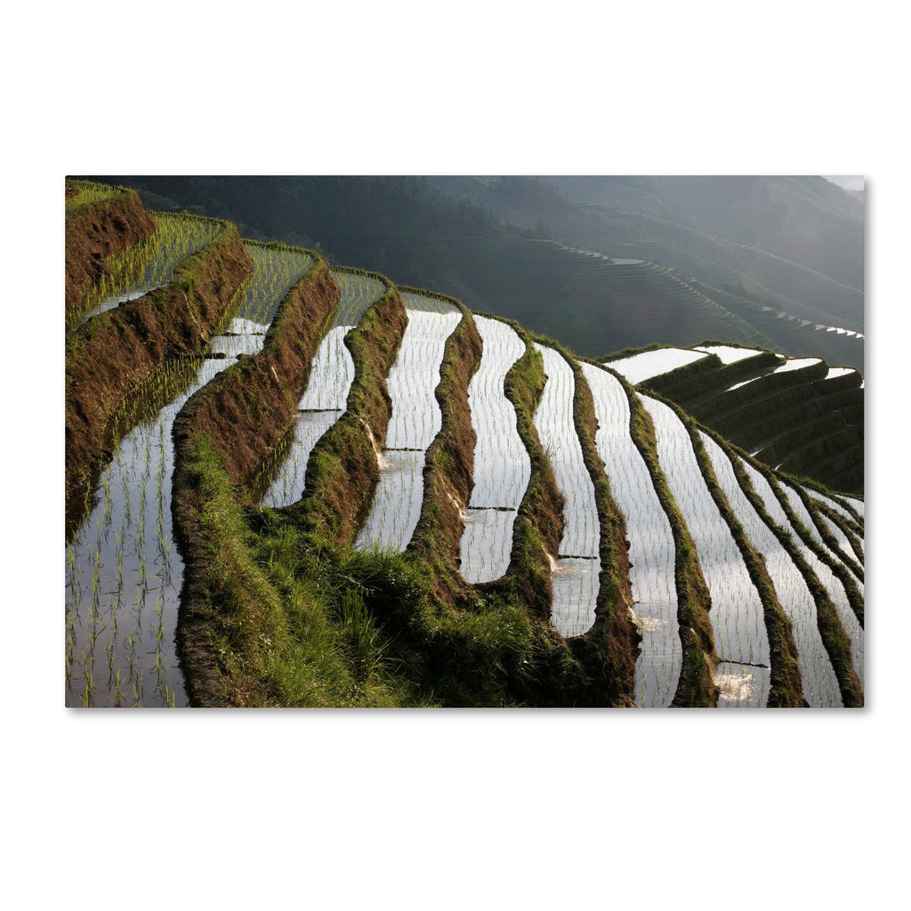 Farmland Canvas Art D34835