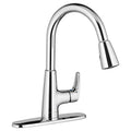 Pull-Down Kitchen Faucet Polished Chrome Z46919