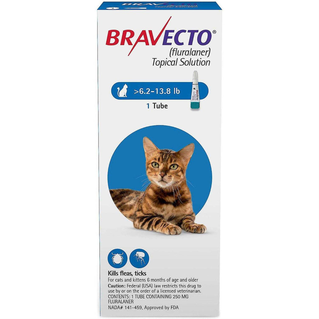 Bravecto Topical Solution for Cats T804228