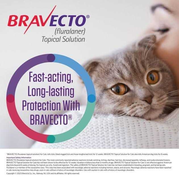Bravecto Topical Solution for Cats T804228