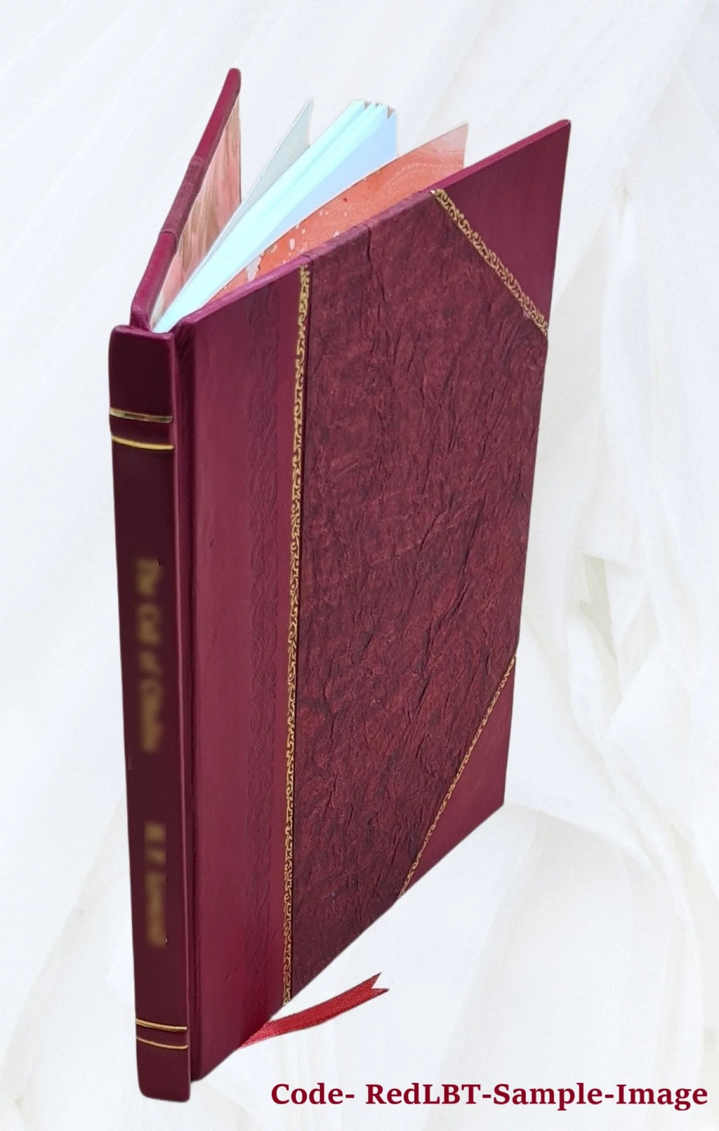 Nebraska laws of special interest to women I139826