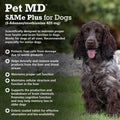 Liver Support Dog Supplement E3912