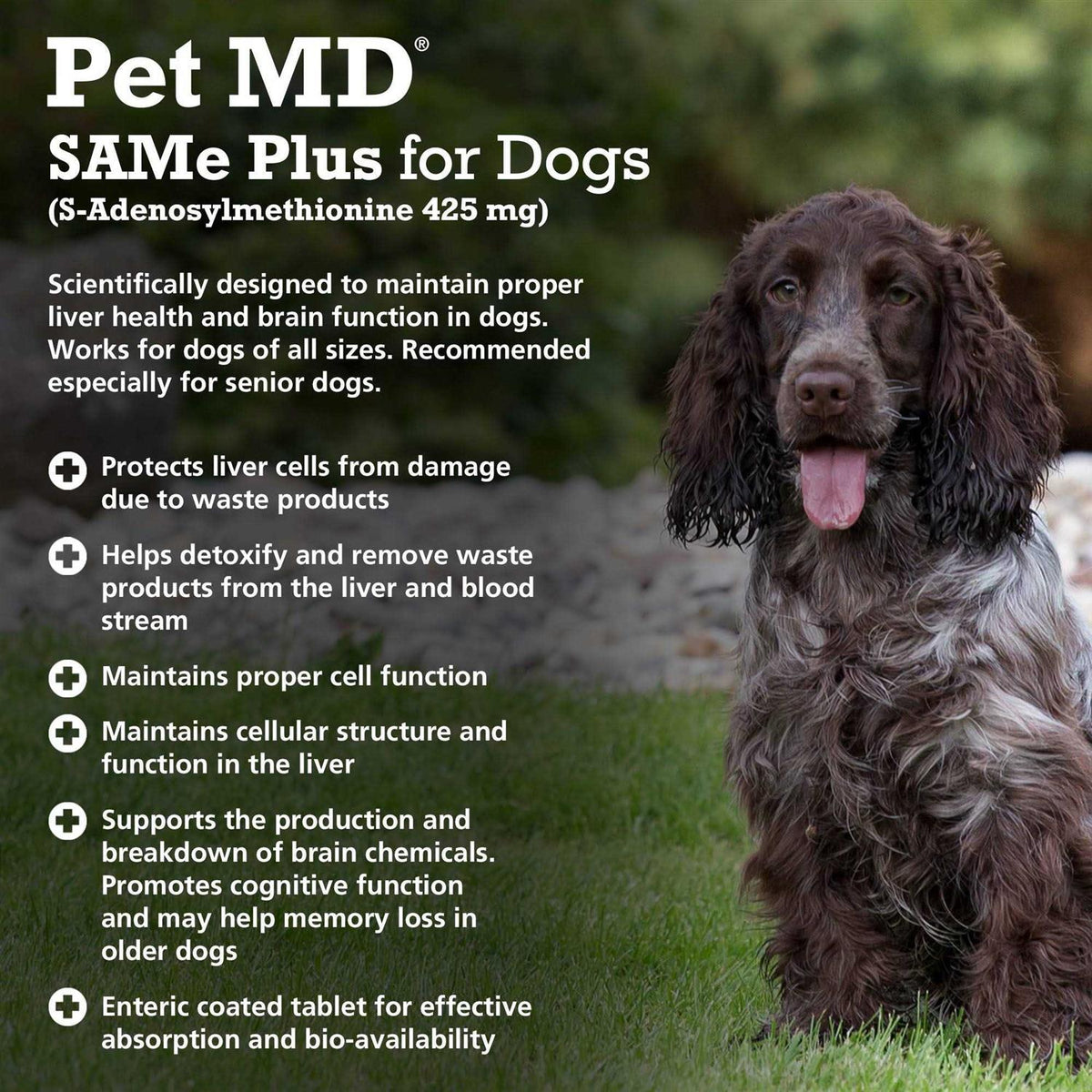 Liver Support Dog Supplement E3912