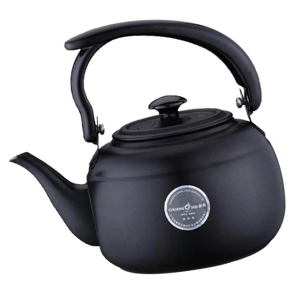 Stainless Steel Tea Kettle for Stovetop F8127