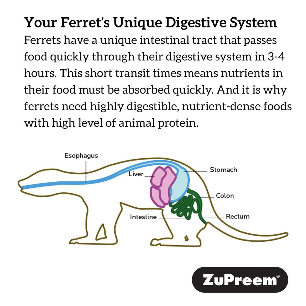 Premium Ferret Diet A731