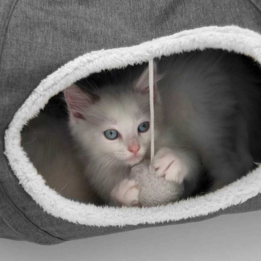 Cat Tunnel E777601