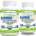 Organic Sea Moss Bladderwrack Burdock Root 60Ct Pack of 2 F518
