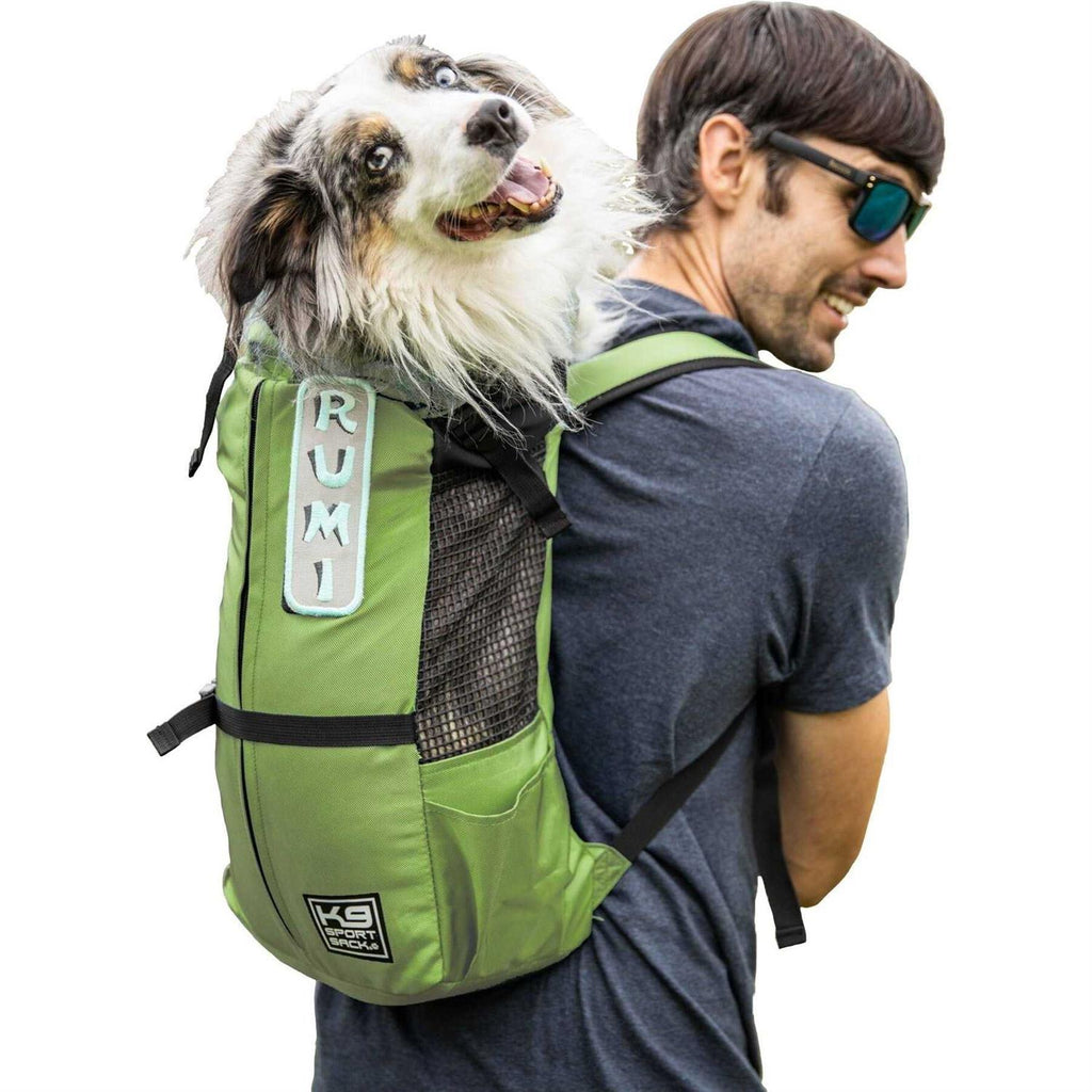 Pet Trainer V2107
