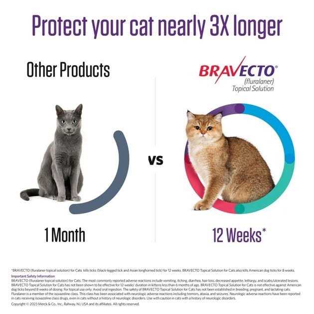 Bravecto Topical Solution for Cats T804228