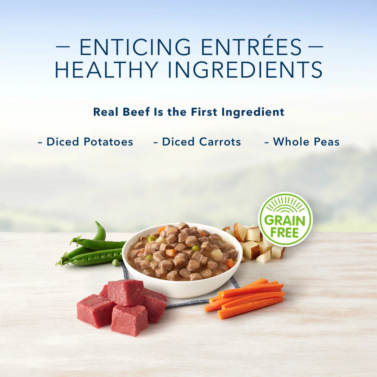 3.5 oz Grain-Free Wet Dog Food V902404